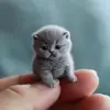 ๋هैتᬼᬼون✬ - @macsnyder4 - TikTok