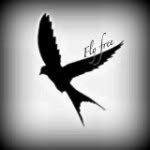 Mac Sparrow - @fire_flight_and_freedom - Instagram