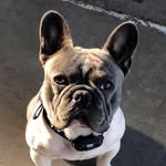 JJ McAllister - @macspeed702 - Instagram