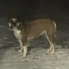 jojo.macspencer - @jojo.macspencer - TikTok