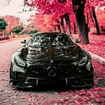 spiller mackavelli - @spillermackavelli - Instagram