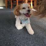 Mac Stevens - @macattackstevens - Instagram