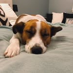 mac sullivan - @mac_a_doodle_s - Instagram