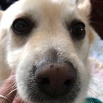 Mac Sullivan - @mac.book.no - Instagram