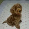 §まー§ - @mac.suzuki011602 - TikTok