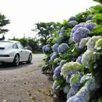 MacSuzuki - @mac.737 - Instagram