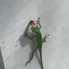 MacTucker77 - @mac_tucker - TikTok