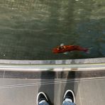 Mac Warren - Facebook