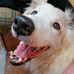 Mac Weldon - Facebook