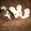 Macy Weldon - @macy.weldon - TikTok