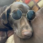 Mac Wilkins - @themacinthemiddle - Instagram
