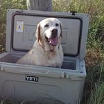 Mac Wooten - @macwooten - Instagram