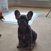 Mac Wright - Facebook