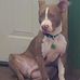 Mac Wright - Facebook