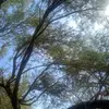 Macarena Aranda - @macarena.aranda03 - TikTok