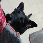 @macarena_cantoni - Instagram
