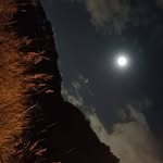 Macario Avalos - @macarioavalos71 - Instagram