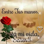 Macario Chavez - @macariochavezbravo - Instagram