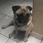 Macario Fuentes - @macario.fuentes - Instagram