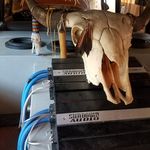 Macario Guzman - @macario.guzman - Instagram