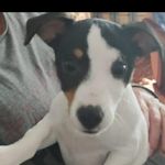 Macario Guzmán - @macarioguzman6 - Instagram