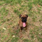 🐶Macario Guzman🐶 - @maca.rio290123 - Instagram