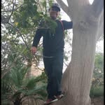 Macario Guzman - @macario_guzman1 - Instagram