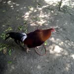 macario juarez jimenez - @macario_juarez__ - Instagram
