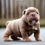 Mario Adolfo Macario Muñoz - @marioadolfomacariomunoz - Instagram