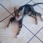 Macario Ramírez - @macarioramirez79 - Instagram