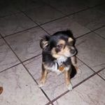Macario Ramos - @ramos.macario - Instagram