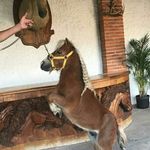 Macario Ramos - @macarioramos_ - Instagram