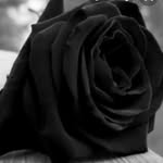 Macario Rivera - @macario.rivera.1044 - Instagram