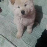 Macario Robles - @macario.robles.923 - Instagram