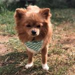 Macario Robles - @macario.robles - Instagram