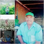 Macario Flores Roque - Facebook