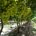 Macario Sanchez - @macario.sanchez.73113 - Instagram