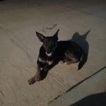 Macario Trejo - @macario.trejo.796 - Instagram