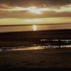 Macauley Davis - @macauleydavis - TikTok