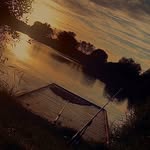 Macauley Davis - @macauleydavis_carpfishing - Instagram