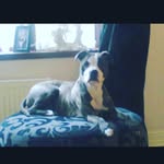 Macauley Taylor - @macauley903 - Instagram
