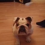 Macauley Taylor - @macauley800 - Instagram