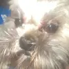macauleytaylor1 - @macauleytaylor1 - TikTok