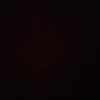 Macauley Young - @macauley.young2 - TikTok