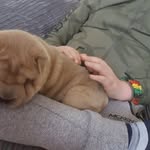 Macauley Young - @macauley.young.9 - Instagram