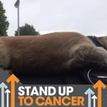 Macauleyyoung - @macauley_young - Instagram