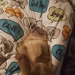 macauleyyoung - @macauley_bocker_young - Instagram