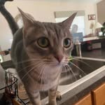Macejones - @rebeccakeith316 - Instagram