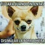 Fernando Lopez Macedonio - @fernandolopezmacedonio - Instagram
