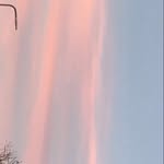 Mace - @macey_scott - Instagram